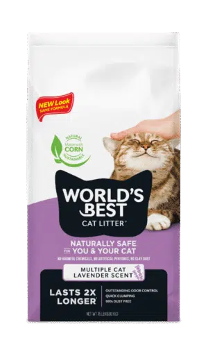 מצע וורלד בסט אורגני סגול בניחוח לבנדר 12.7 ק"ג