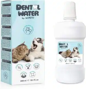 מי פה לכלב ולחתול