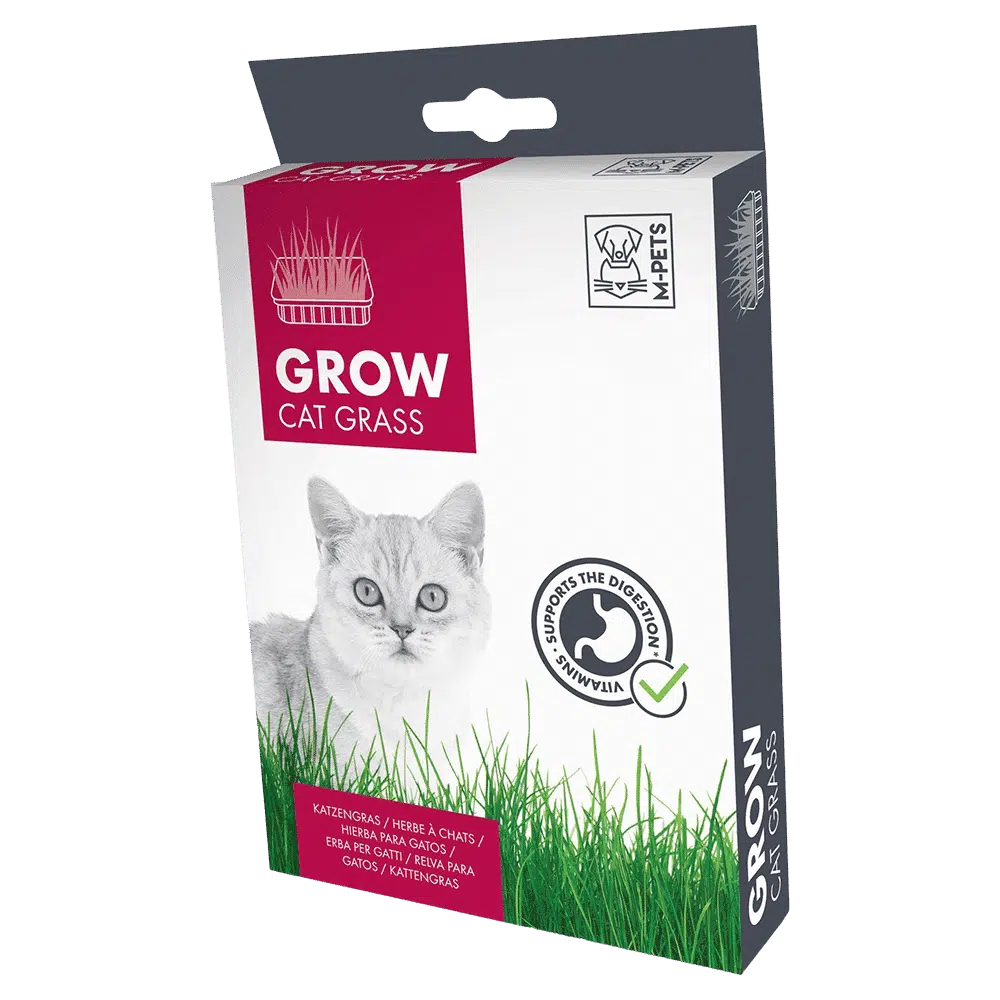 דשא לחתולים