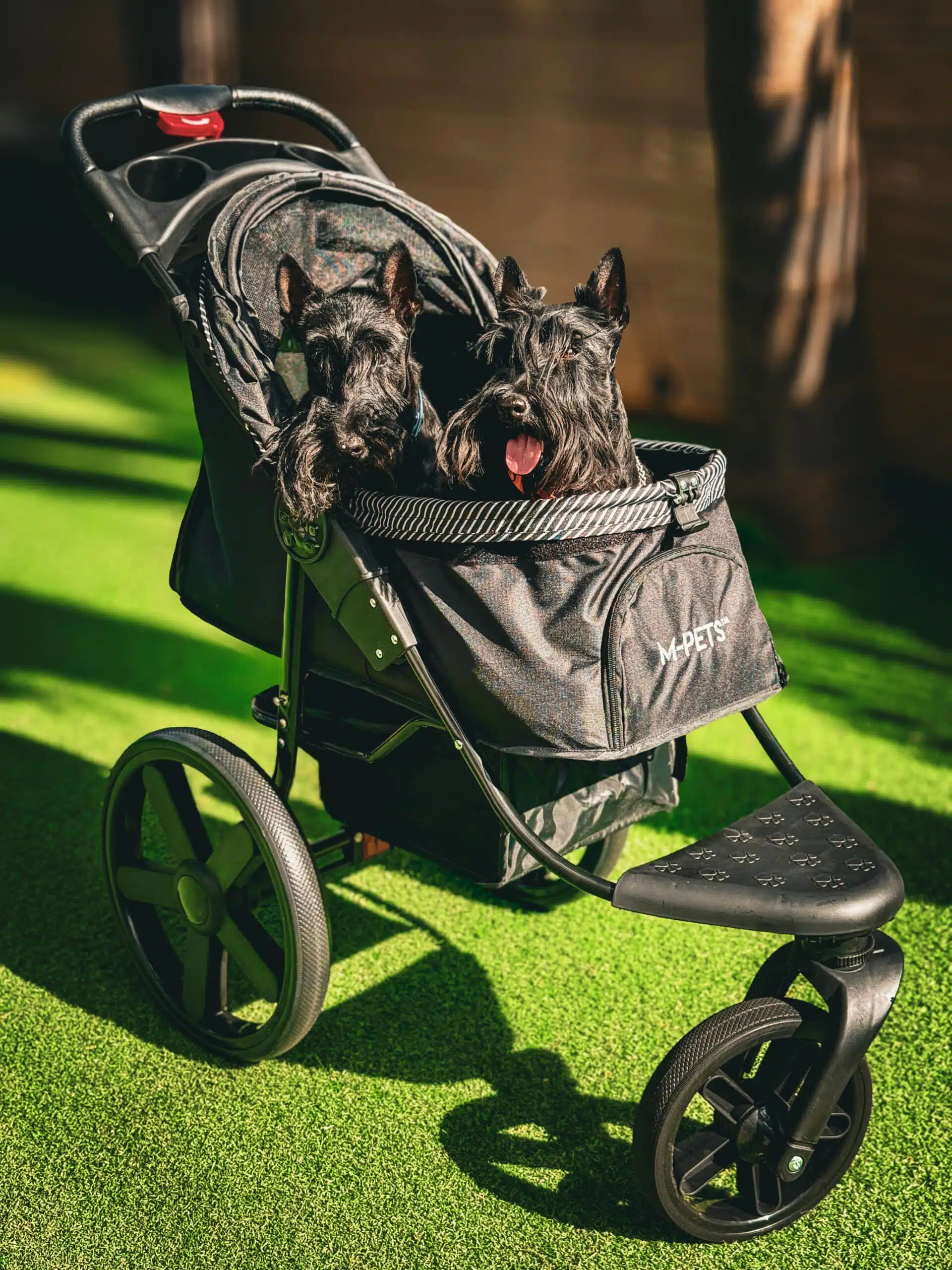 ⁦עגלה לכלבים וחתולים עד 25 ק"ג אמפטס⁩ – תמונה ⁦2⁩