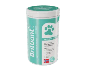 תוסף פרוביוטית יעילה לעיכול ובריאות המעיים 300 גרם מבוסס על אבקת חלבון סלמון 100% BRILLIANT