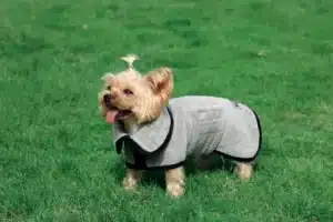 חלוק רחצה לכלב אמפטס