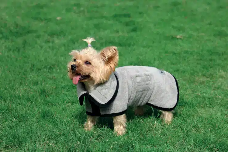 חלוק רחצה לכלב אמפטס