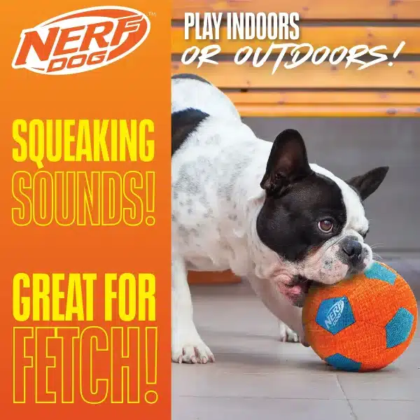 ⁦צעצוע לכלב כדור כדורגל קל ומצפצף Nerf Dog⁩ – תמונה ⁦3⁩