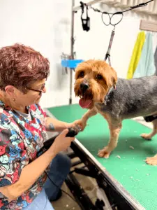 תפסנו את אירנה באמצע 😂