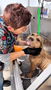 מתפנק במקלחת נעימה 🛁