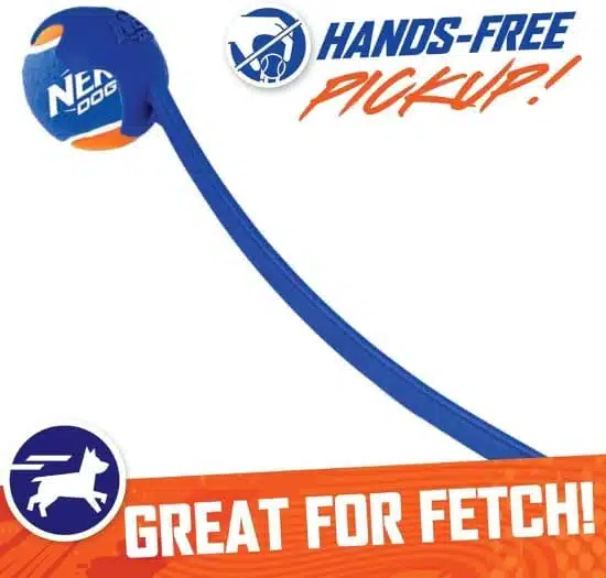 ⁦צעצוע לכלב מוט לזריקת כדורים כולל כדור Nerf Dog⁩ – תמונה ⁦2⁩