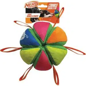 צעצוע לכלב כדור צורות, רצועות ומרקמים מצפצף Nerf Dog