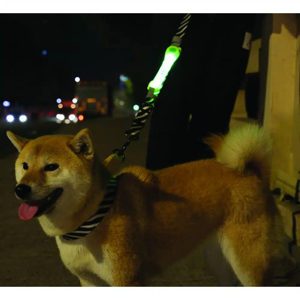 ⁦תוספת מהבהבת לרצועה נטען צבע ירוק אמפטס⁩ – תמונה ⁦3⁩