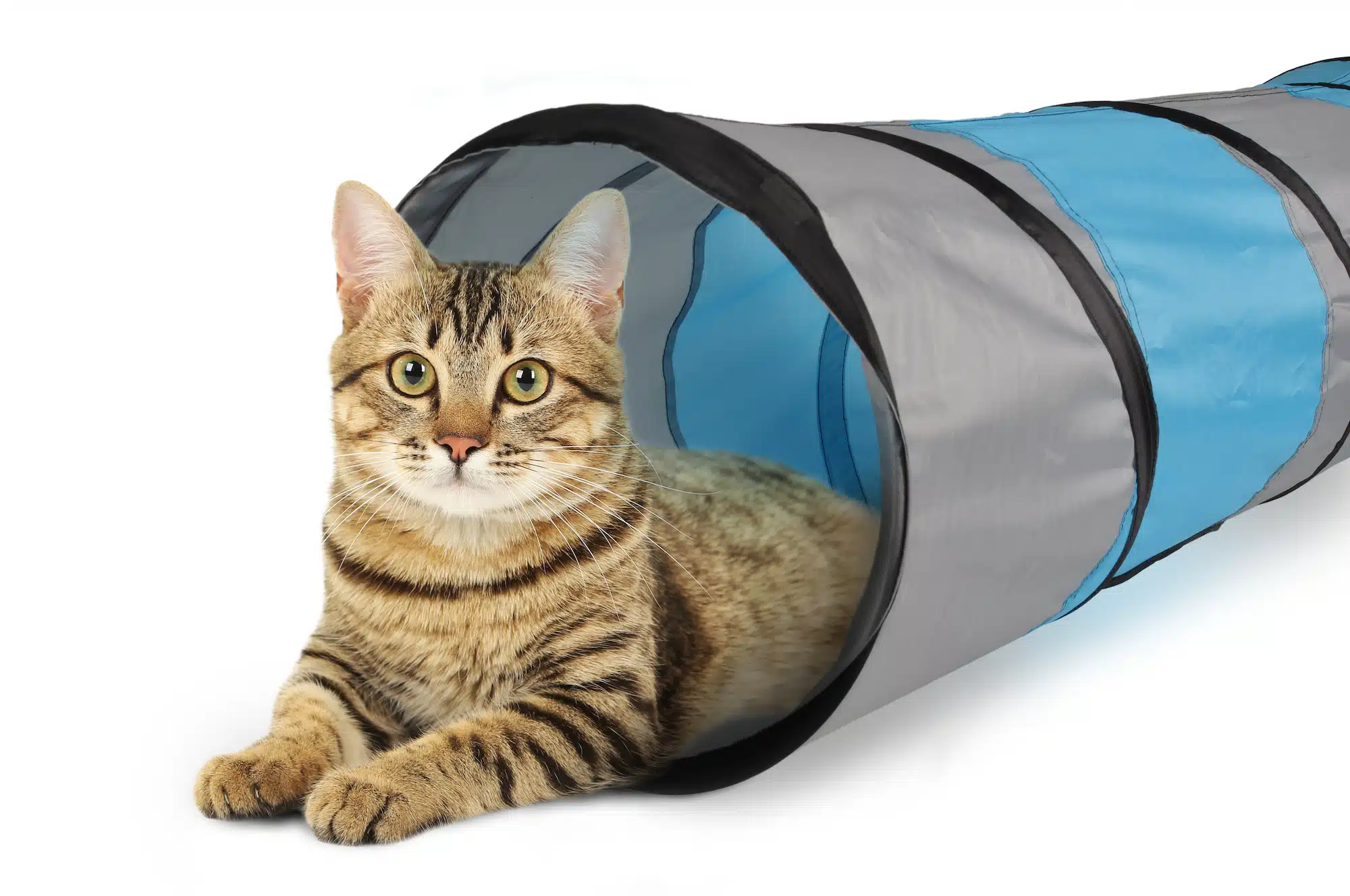 מנהרה 90 ס"מ לינז לחתול FLAMINGO