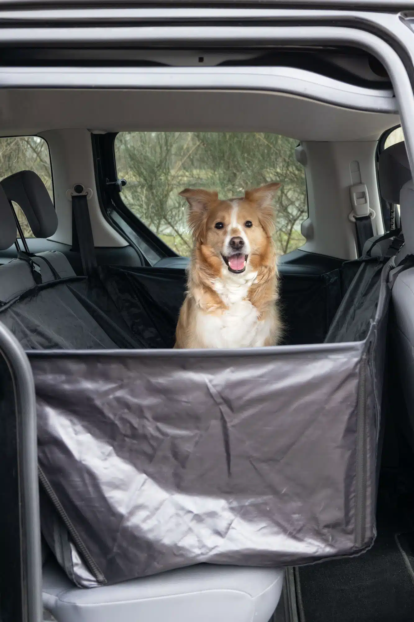 כיסוי מושב אחורי לרכב לכלבים סגנון ערסל FLAMINGO הדגמה עם כלב יושב 2