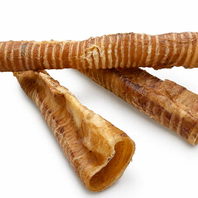 שלושה מקלות קנה נשימה בקר מיובשים לכלב של 4DOGS